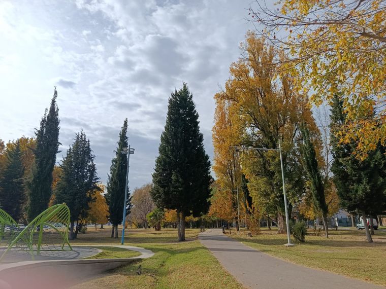 Jornada agradable para disfrutar el otoño en Mendoza.&nbsp;
