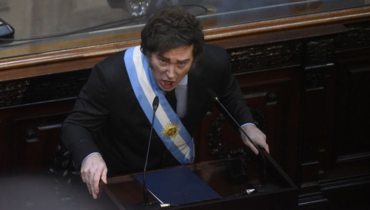 Javier Milei recibió una dura derrota en la Cámara Alta. Foto: Juan Mateo Aberastain Zubimendi / MDZ.