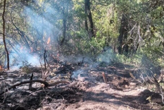 Si bien se habían reportado siete focos de incendio, ahora habría uno más.