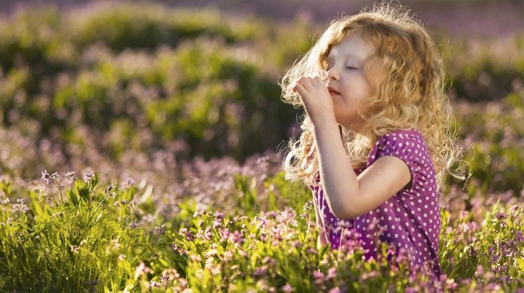 Foto: sabervivirtv.com