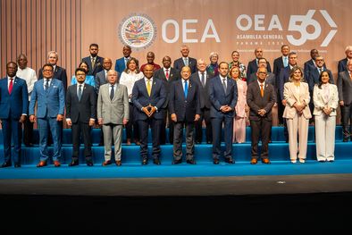MDZol | OEA