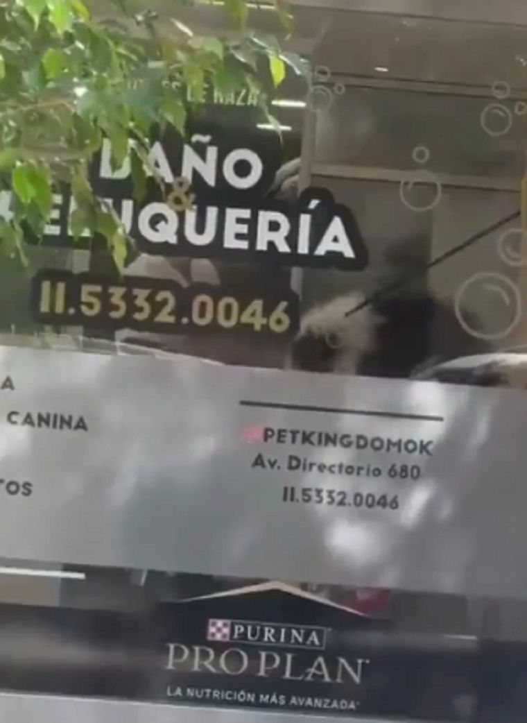 Foto: Captura pantalla.