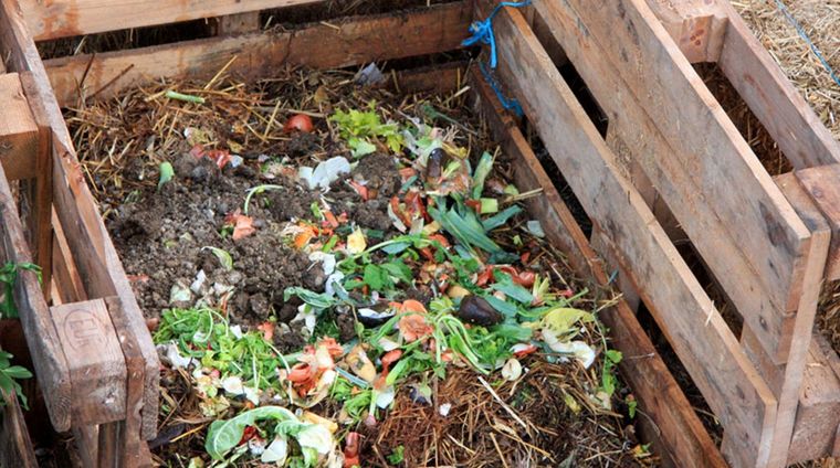 Foto: https://ecosiglos.com/