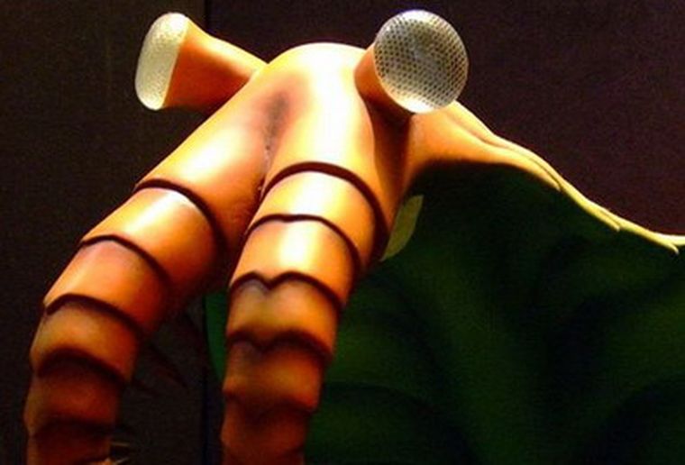 El Anomalocaris, recreado en 3D.