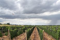 El viernes estará marcado por el regreso de las tormentas en Mendoza.