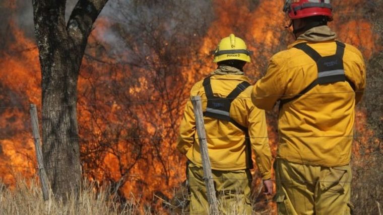 El autor material de los incendios forestales fue condenado a prisión