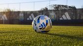 Siguen rodando cabezas en la Liga Profesional de Fútbol.