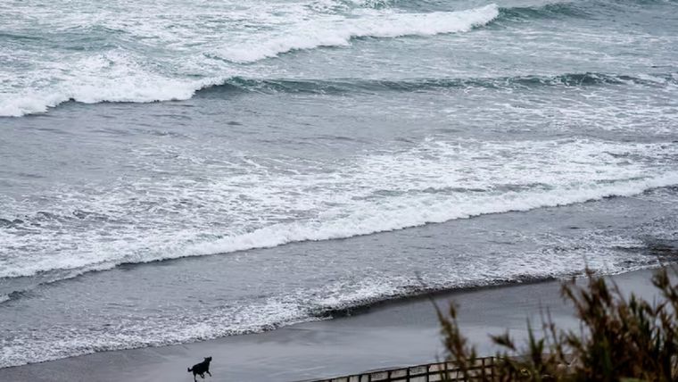 El último informe del SHOA confirma olas significativas en la costa chilena; Boyeruca registró la mayor, con una altura de 2,4 metros.