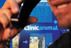 Estafas telefónicas a clínicas veterinarias Foto: NA