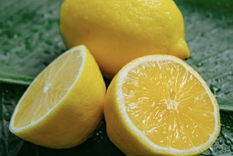 Los cítricos tienen cientos de propiedades y beneficios para tu salud Foto: Archivo