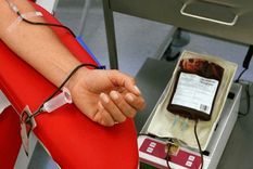 bancos de sangre: alertan que estan en un 50% por debajo de lo optimo