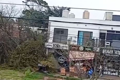 En medio de las alertas, una mujer se salvó milagrosamente de la caída de un árbol En medio de las alertas, una mujer se salvó milagrosamente de la caída de un árbol