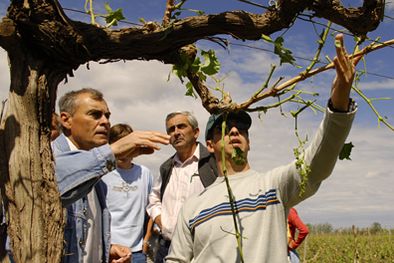 MDZol | Foto: Gonzalo Bravo / mdz