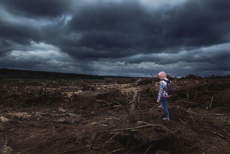 Los callejones van desde la crisis climática hasta la inteligencia artificial Foto: Shutterstock