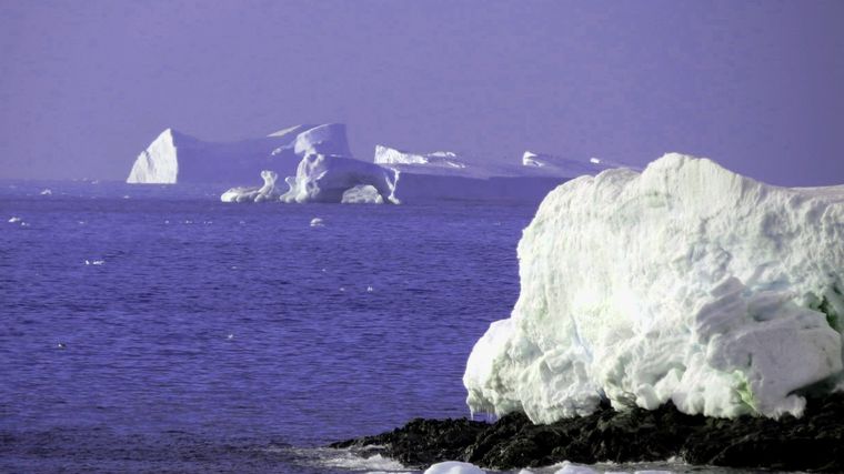 Vivimos en un planeta contaminado. Foto: Fundación Glaciares.