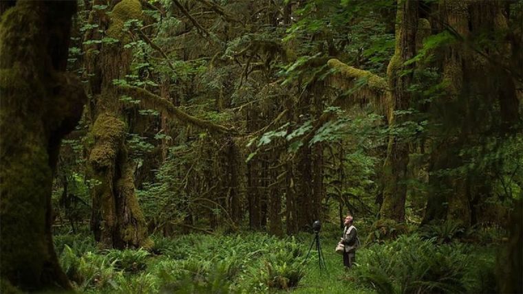 Hempton ha dado la vuelta al mundo tres veces buscando y documentando los paisajes sonoros naturales que desaparecen del planeta. Foto: SHAWN PARKIN Foto: SHAWN PARKIN