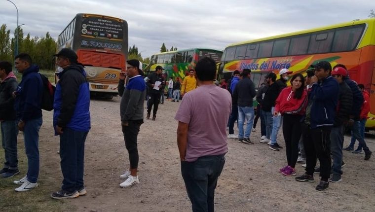 (Imagen ilustrativa)