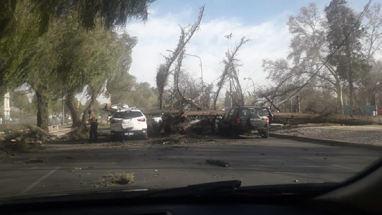 Así se veía esta tarde la Costanera a la altura del Acuario