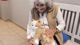 Las mascotas robot y la roboterapia son un paso hacia adelante para el tratamiento de personas con Alzheimer. Las mascotas robot y la roboterapia son un paso hacia adelante para el tratamiento de personas con Alzheimer.