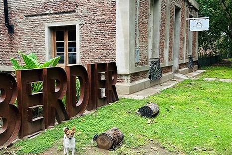 Berdier es un pueblo de Buenos Aires donde las diagonales y las calles arboladas forman una de sus imágenes más reconocibles. Berdier es un pueblo de Buenos Aires donde las diagonales y las calles arboladas forman una de sus imágenes más reconocibles.