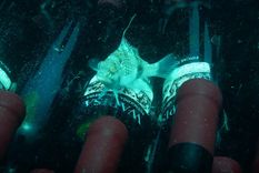 Tapiz y una ocurrencia interesante.