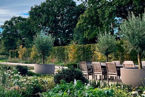 Un jardín radiante todo el año. Fuente Shutterstock. Un jardín radiante todo el año. Fuente Shutterstock.