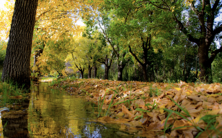 El lugar que se transforma durante el otoño. El lugar que se transforma durante el otoño. 
