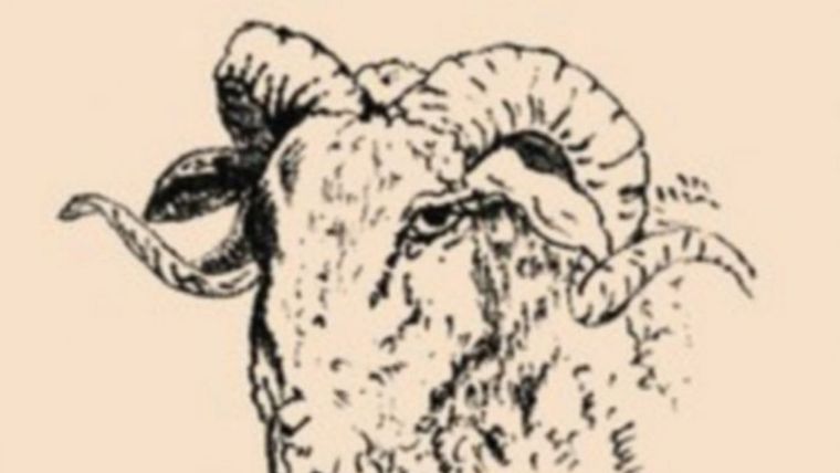 Acertijo visual, reto visual, niño Pinterest Foto: Pinterest