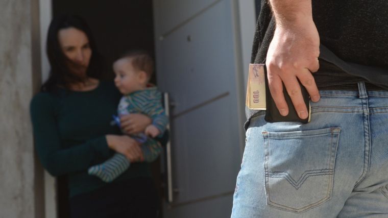 El Registro de Deudores Alimentarios Morosos (Re.D.A.M) es de acceso público y gratuito.&nbsp;