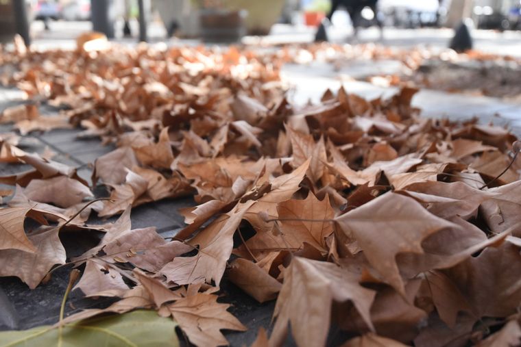 Foto: Rodrigo DAngelo / MDZ