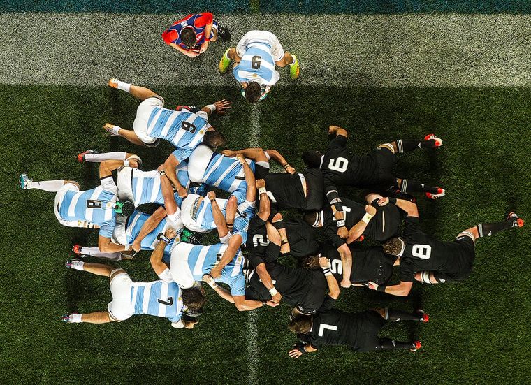 Foto: @lospumas