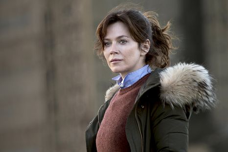 La serie sigue a una antigua investigadora que vuelve al trabajo justo cuando un viejo caso parece activarse otra vez. La serie sigue a una antigua investigadora que vuelve al trabajo justo cuando un viejo caso parece activarse otra vez.