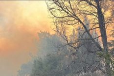 Hoy siguen los rastrillajes en la zona. Foto: Foto: Parque Nacional Lanín