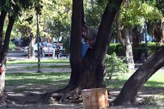 La plaza Almirante Brown será cerrada con un cerco perimetral de tipo Acmafor. Foto: ALF PONCE MERCADO / MDZ La plaza Almirante Brown será cerrada con un cerco perimetral de tipo Acmafor. Foto: ALF PONCE MERCADO / MDZ