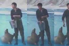 El video que se hizo viral.