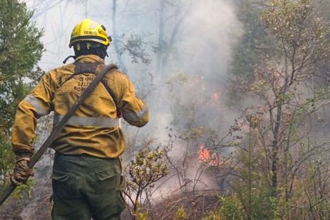 Los bolberos voluntarios trabajan a lo largo de todo el país y son la columna vertebral del manejo del fuego. Los bolberos voluntarios trabajan a lo largo de todo el país y son la columna vertebral del manejo del fuego.