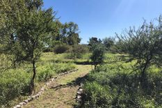 Antes en este lugar había un vertedero de residuos Antes en este lugar había un vertedero de residuos