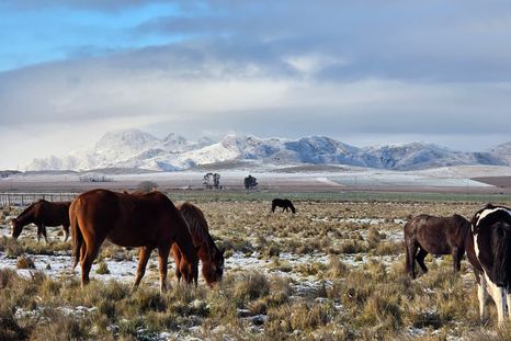 Pigüé es un pueblo bonaerense donde la herencia francesa sigue visible en la identidad local. Pigüé es un pueblo bonaerense donde la herencia francesa sigue visible en la identidad local.