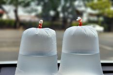 Las bolsas con agua generan reflejos que desorientan a las moscas en el jardín: un truco casero que se transmite de generación en generación.Foto: Shutterstock