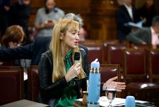 Anabel Fernández Sagasti Foto: Prensa Anabel Fernández Sagasti