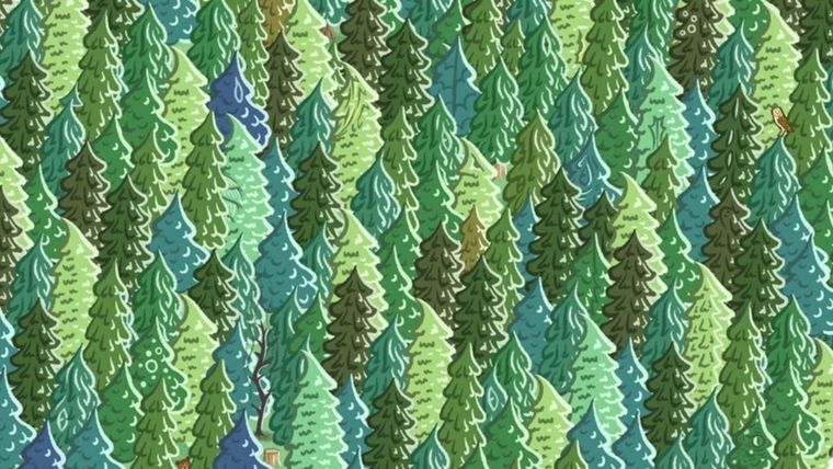 ACERTIJO VISUAL ACERTIJO VISUAL, RETO VISUAL, ÁRBOL Foto: Archivo MDZ