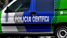 El hecho fue alertado por la hermana de la víctima, después de ver uno de los peros sin vida. El hecho fue alertado por la hermana de la víctima, después de ver uno de los peros sin vida.