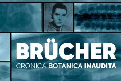 MDZol | Heinz Brücher película