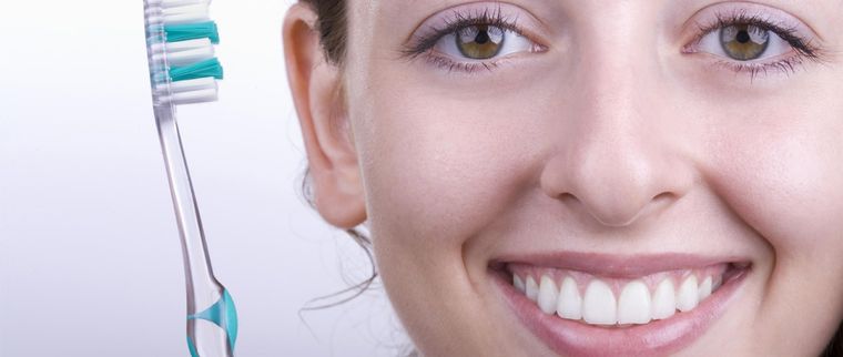 Existe una planta te ayudará a mantener tus dientes blancos. Foto: Shutterstock