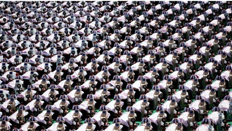 Acertijo visual, reto visual, panda