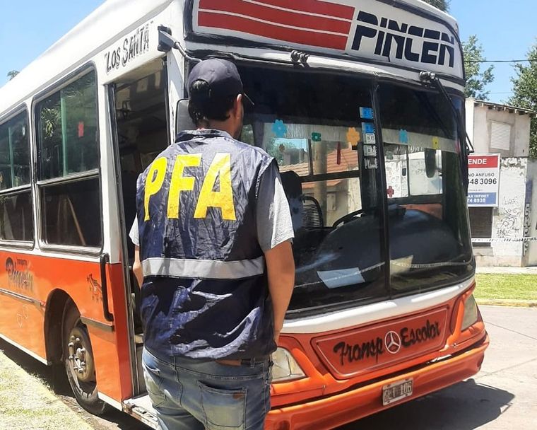 Patricia Bullrich confirmó que identificaron al colectivero que atropelló a un perro a propósito Foto: Twitter (@PatoBullrich)