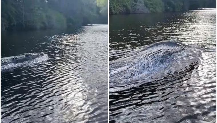 La grabación se viralizó tras ser difundida en las redes sociales.