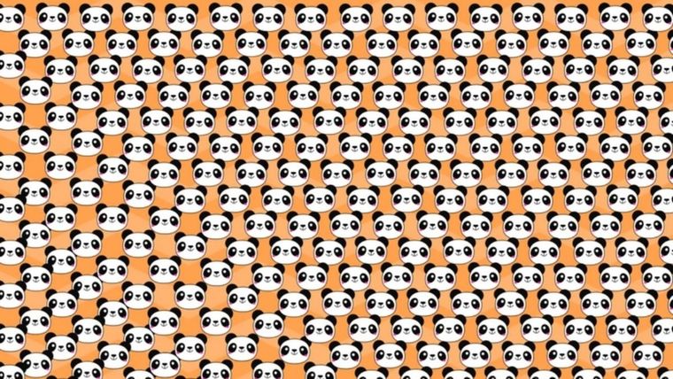 ACERTIJO VISUAL ACERTIJO VISUAL, RETO VISUAL, OSO PANDA Foto: ARCHIVO