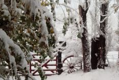 Valle del Sol, Potrerillos Foto: Gentileza