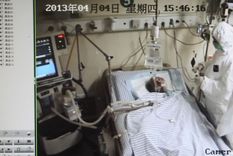 h7n9: se expande desde china una nueva gripe aviar